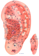 Ear Acupuncture Orlando