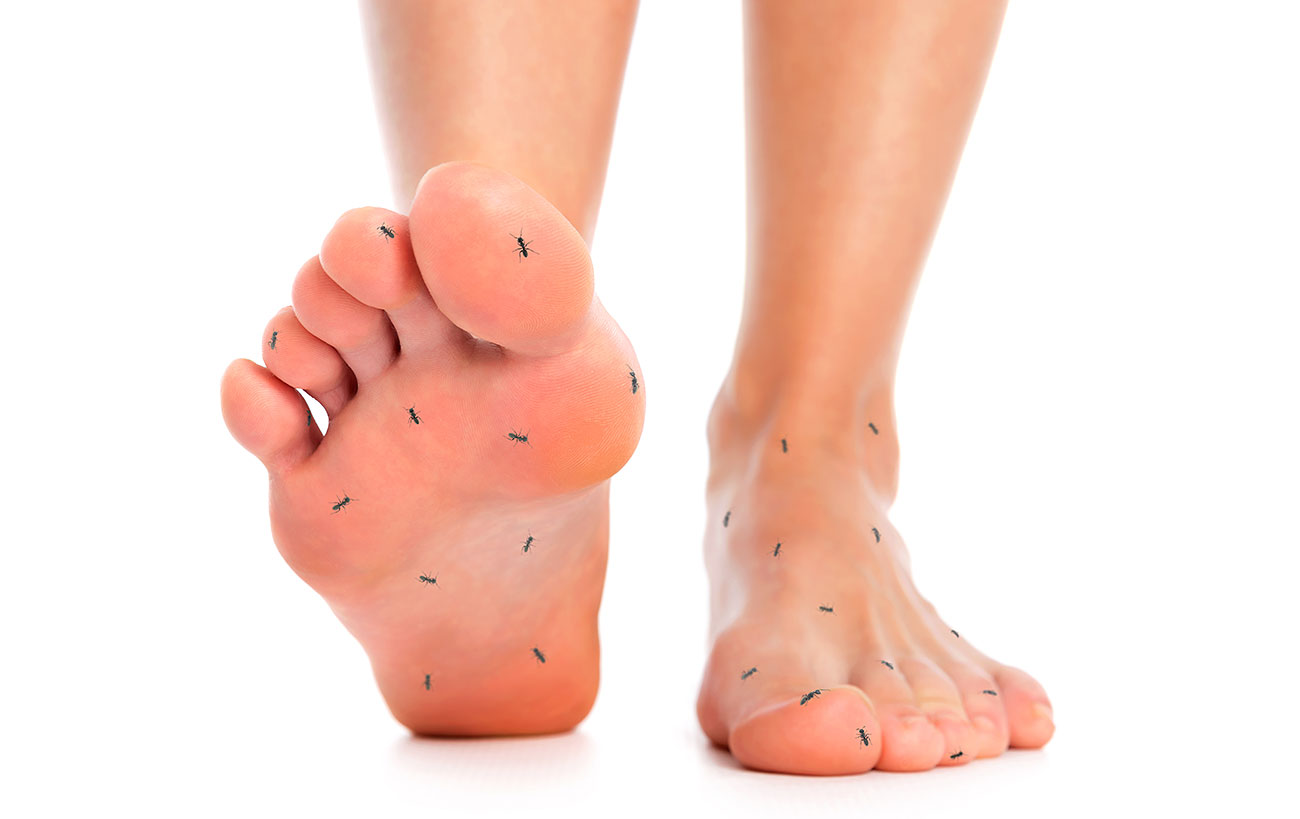 Peripheral Neuropathy Orlando, FL - Christina M. Prieto, A.P.